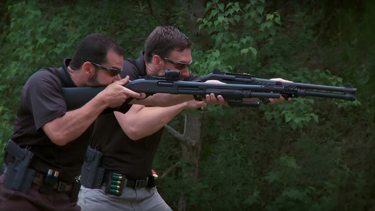 MD: The Art of the Dynamic Shotgun