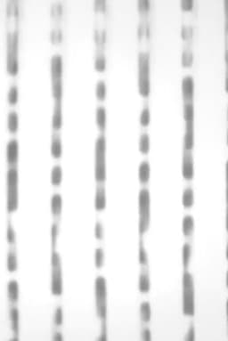 Capture d’écran #1