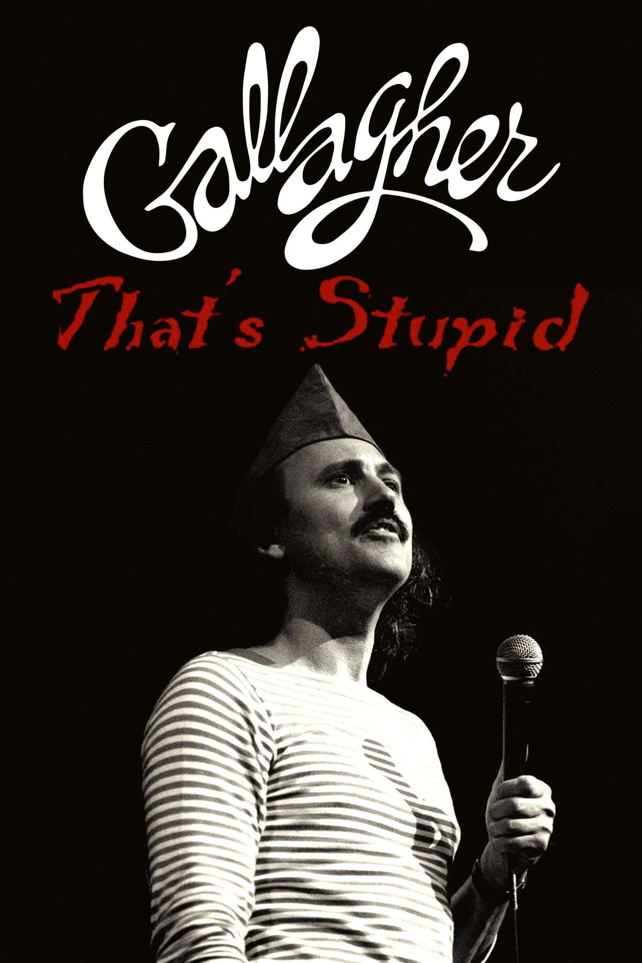 Gallagher: That's Stupid