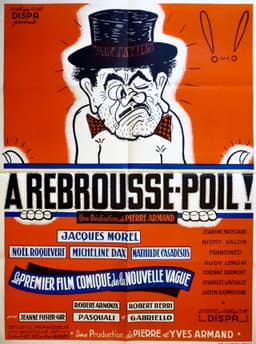 À rebrousse-poil