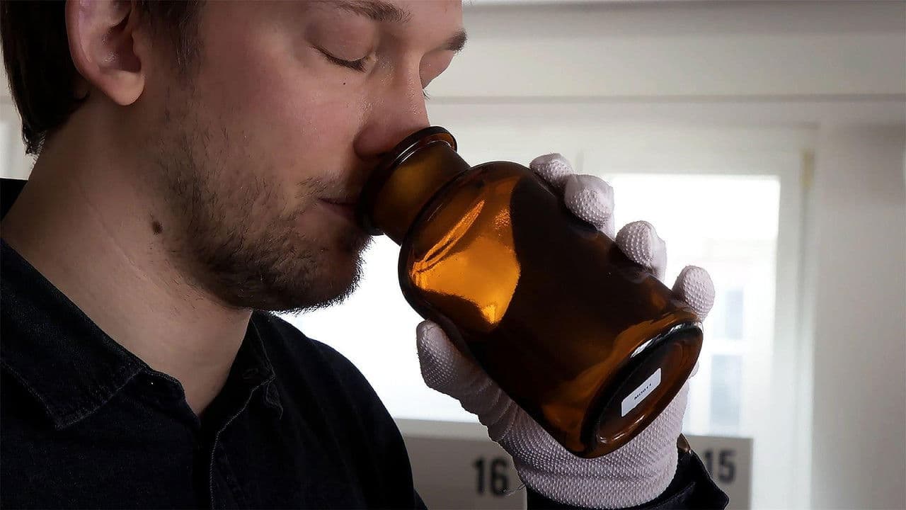 Odorat : à la recherche du sens perdu