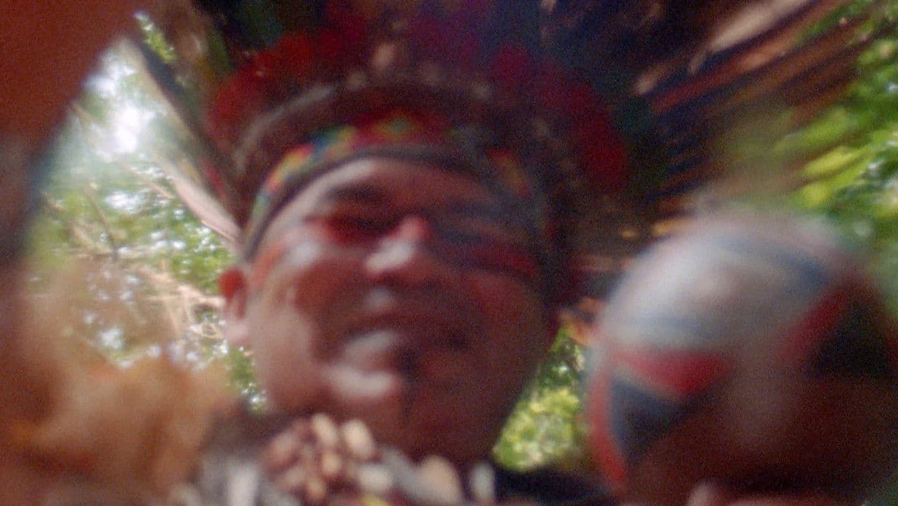 Metamorphosis' Chantings or That Time When I Incarnated as Porpoise