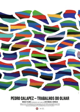 Pedro Calapez: Trabalhos do Olhar