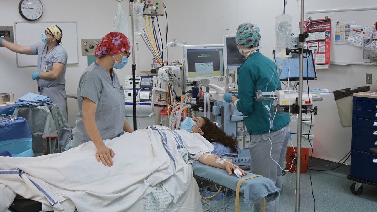 The Wounds Within: An Endometriosis Story