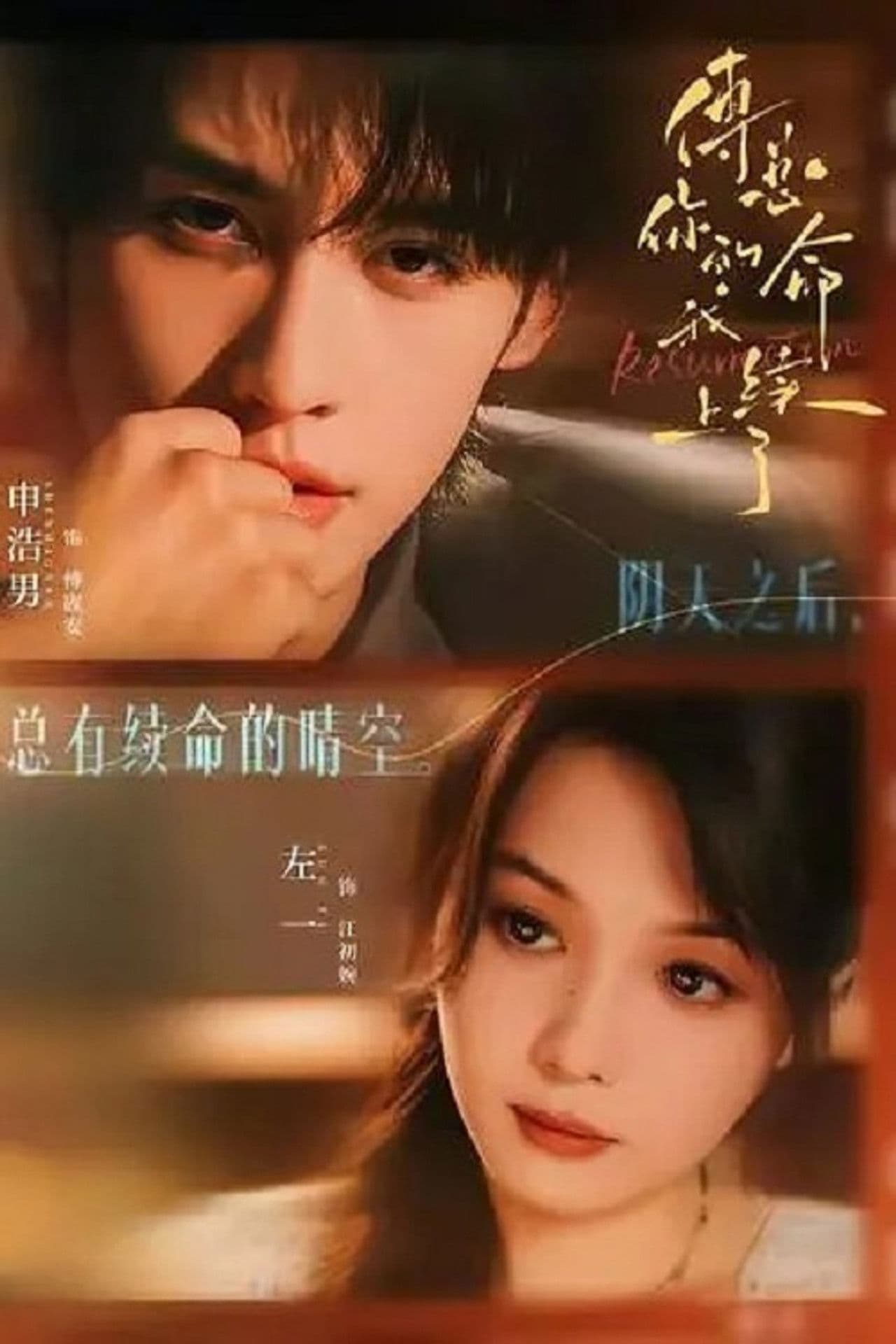 傅总，你的命我续上了