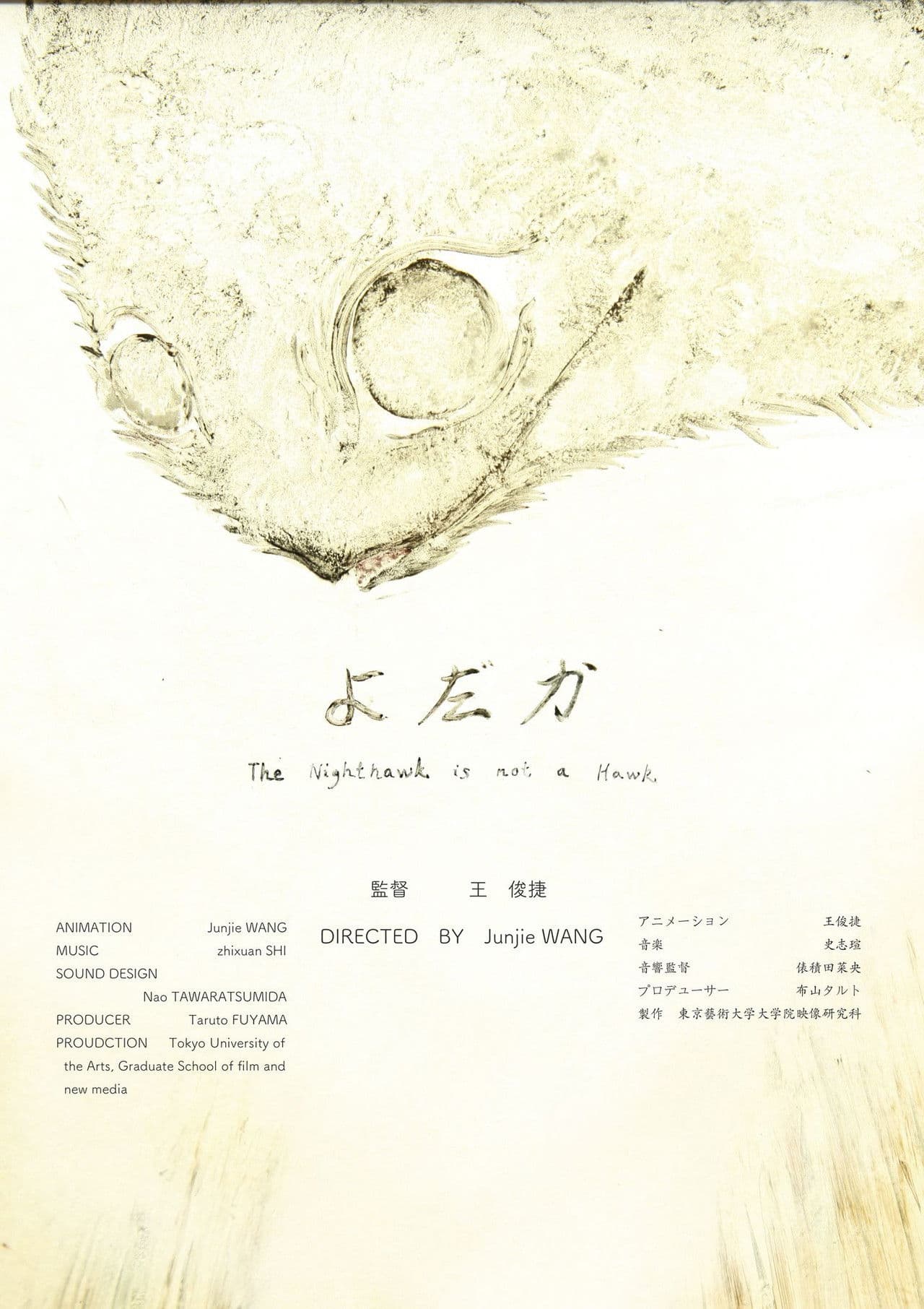 The Nighthawk Is Not a Hawk