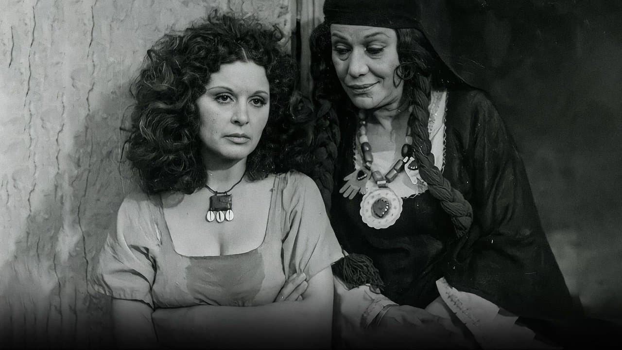 Shafiqa and Metwally