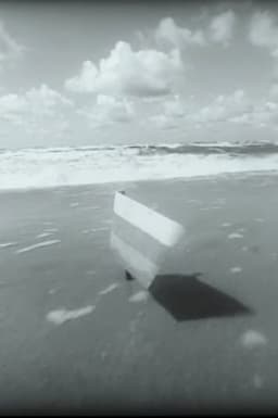 Should I bring in "Antį" now?