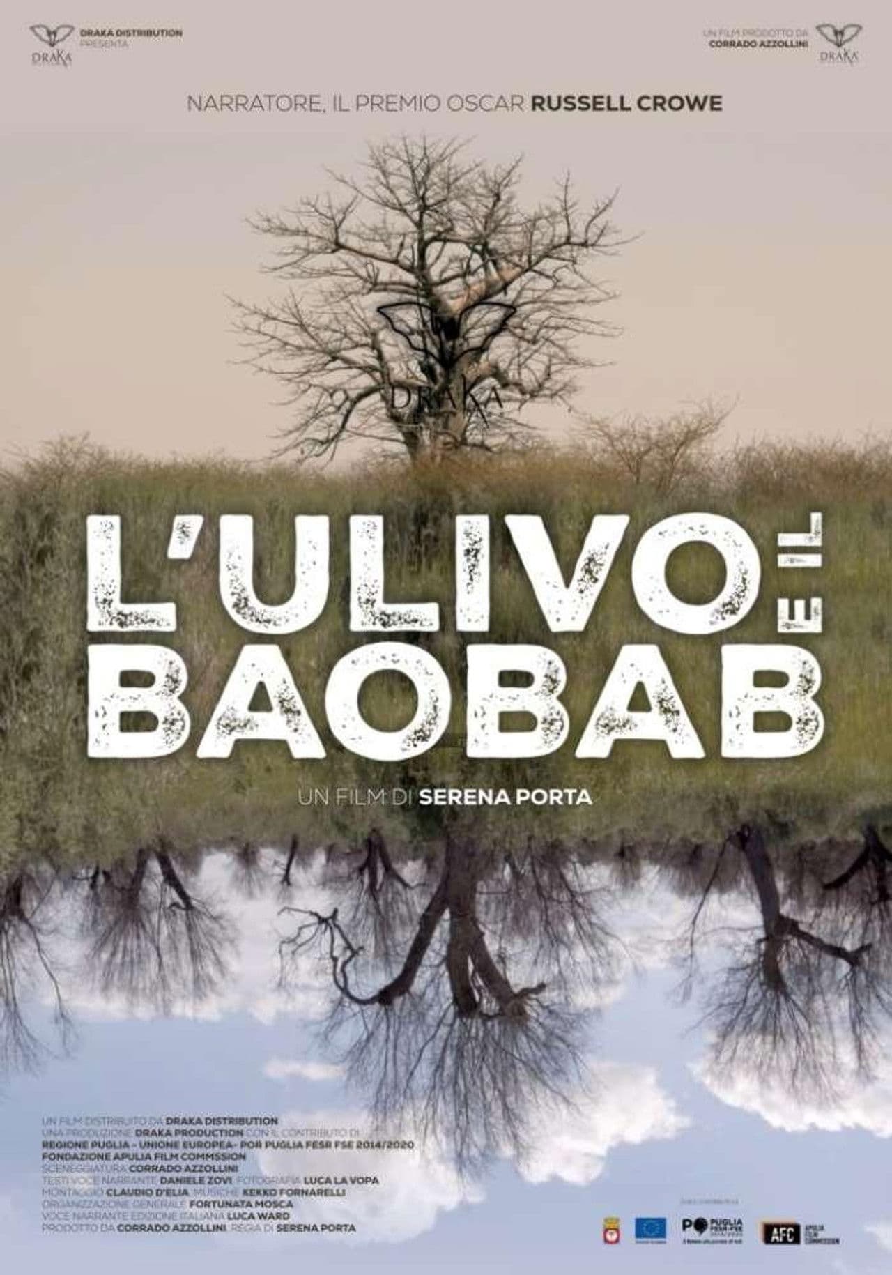 The Olive Tree and the Baobab