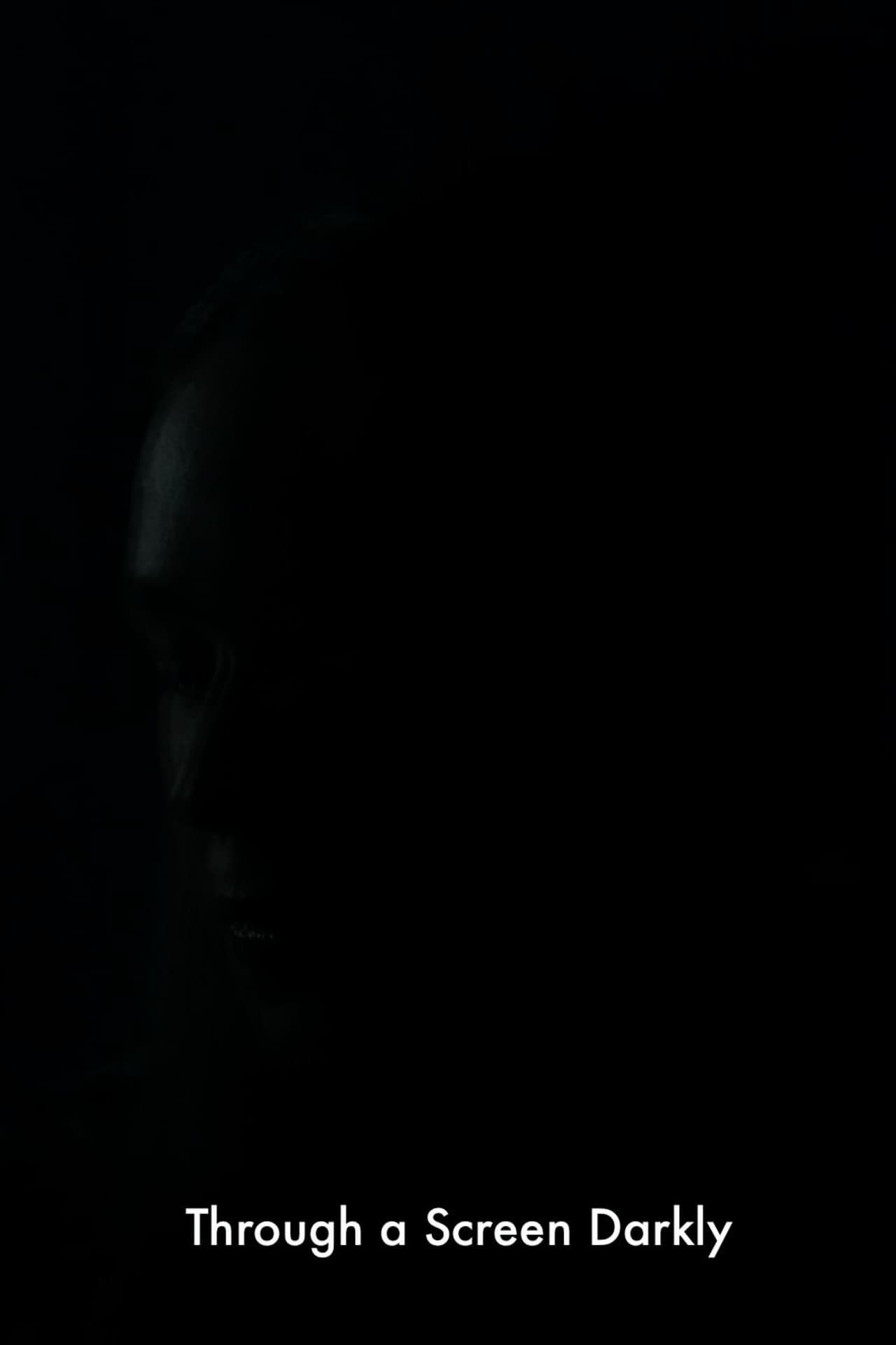 Through a Screen Darkly