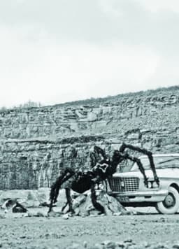 As Long as the Stratified Animal Lights Up