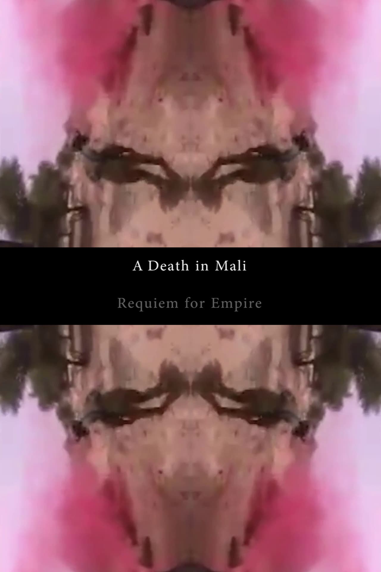 A Death in Mali - Requiem for Empire