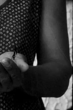 La memoria de las frutas (Diáspora)