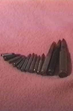 Hostage: The Bachar Tapes (English Version)