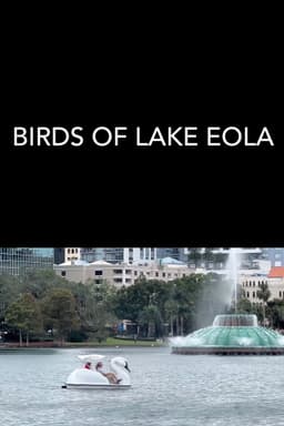 Birds of Lake Eola