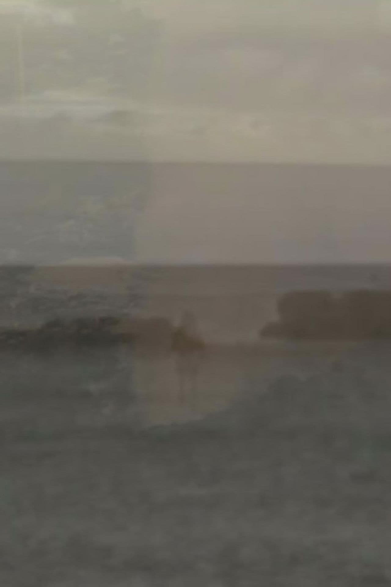 Contemplate the Plate Tectonic