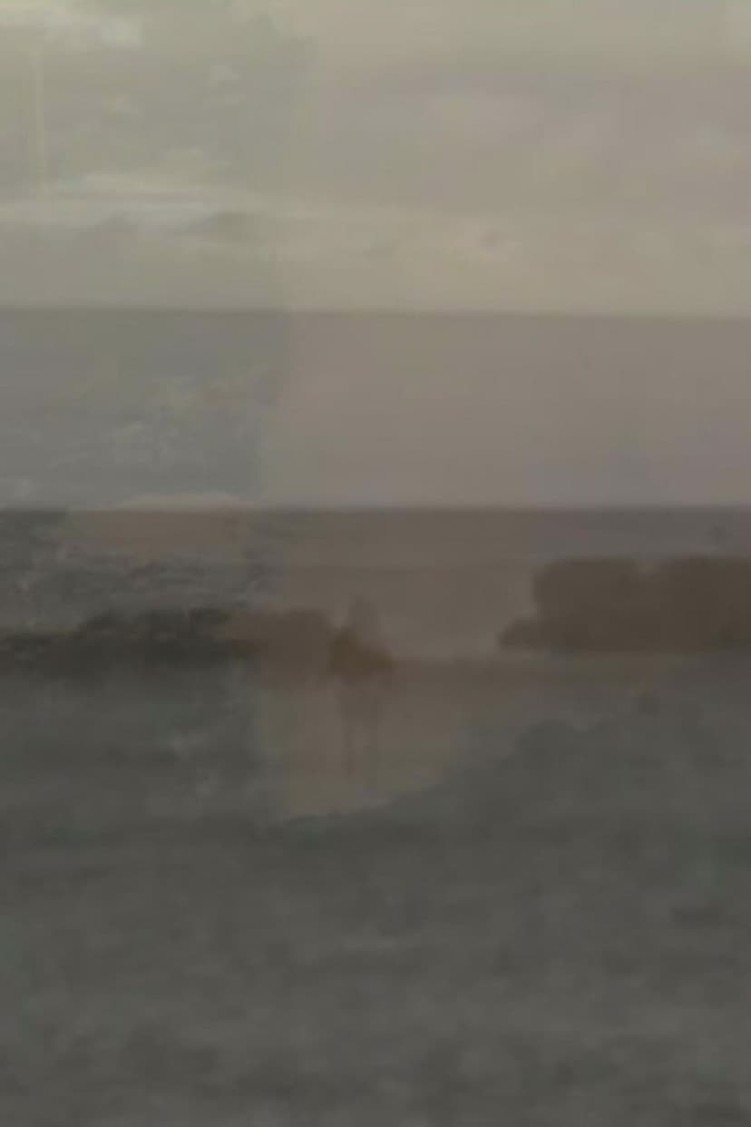 Contemplate the Plate Tectonic