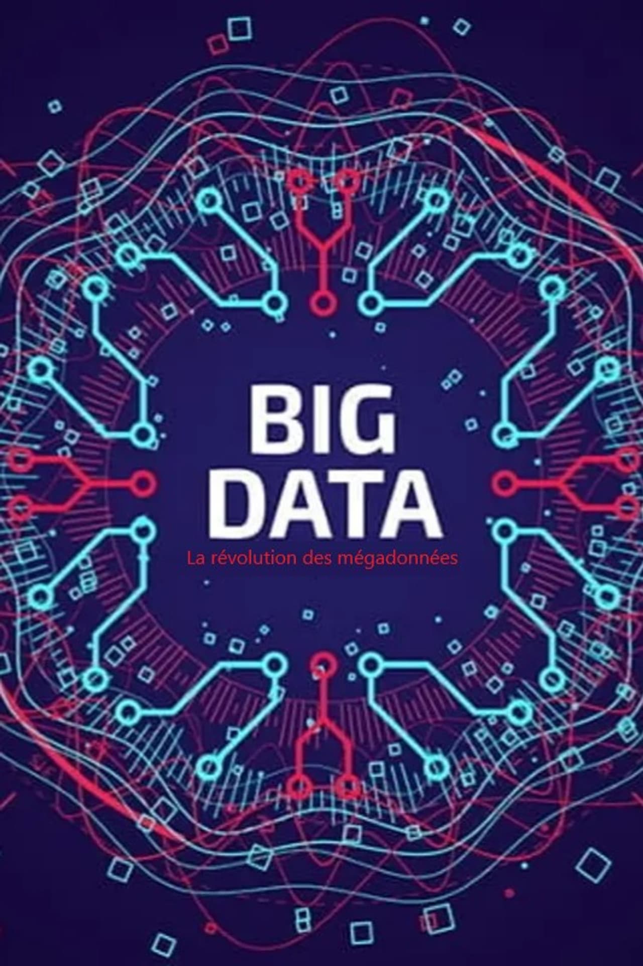 Big Data - La révolution des mégadonnées