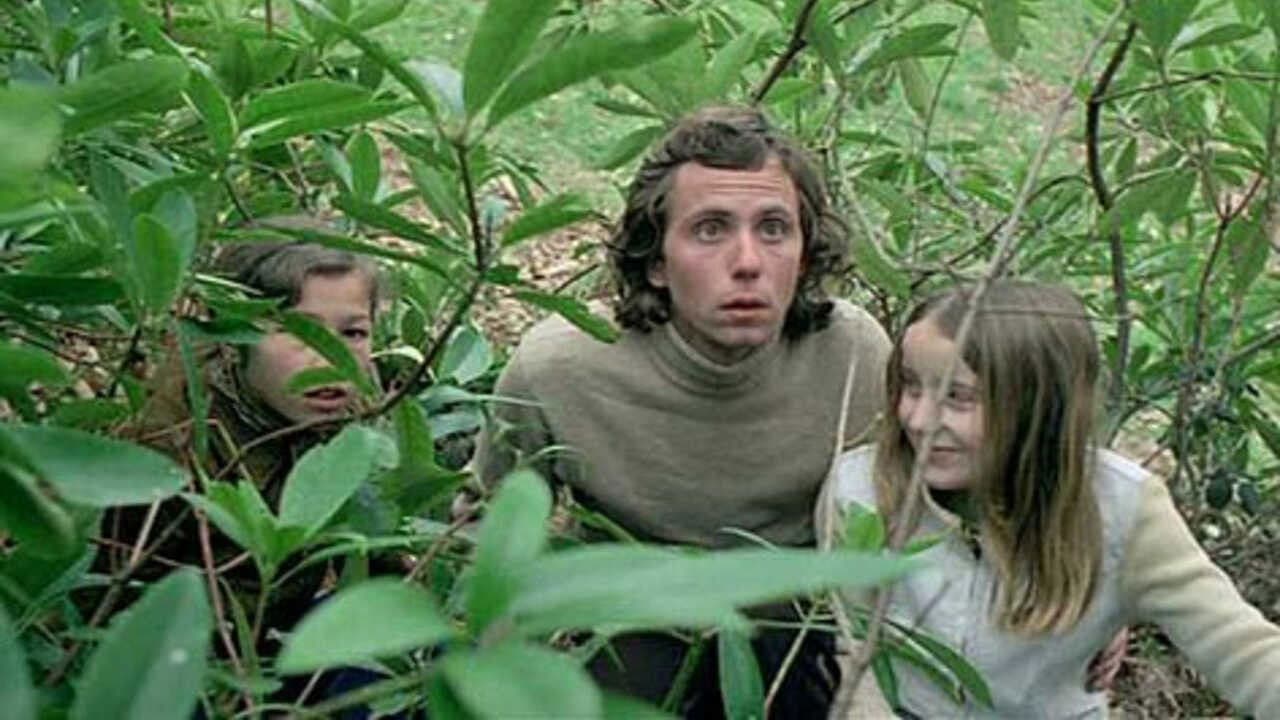 Vincent Put the Donkey in a Meadow (And Went Into the Other)