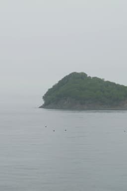 Thousands of Years of Absence