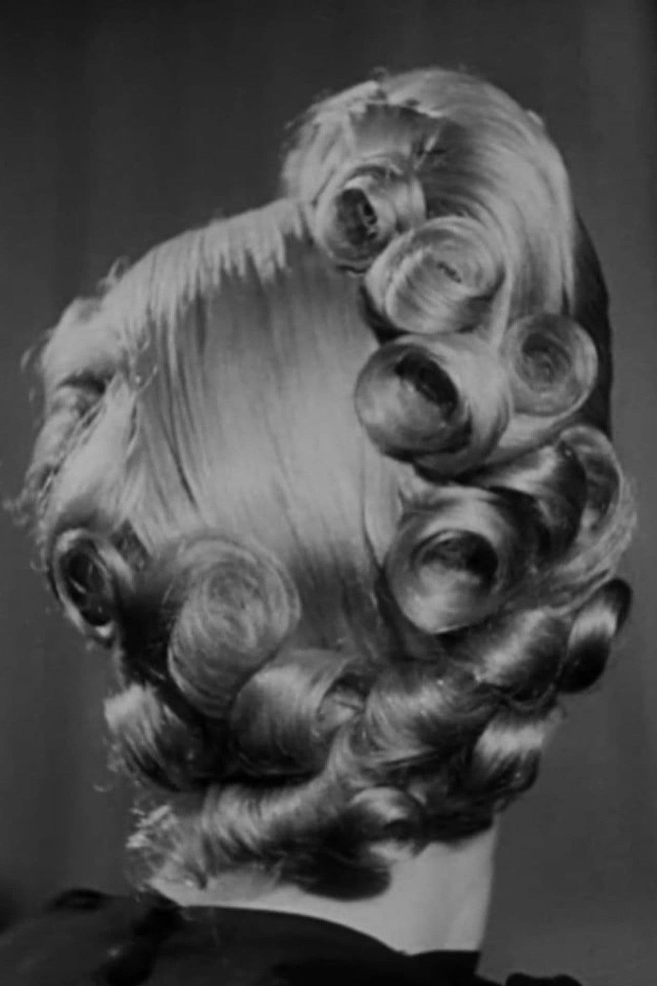 Not Only About Fashion