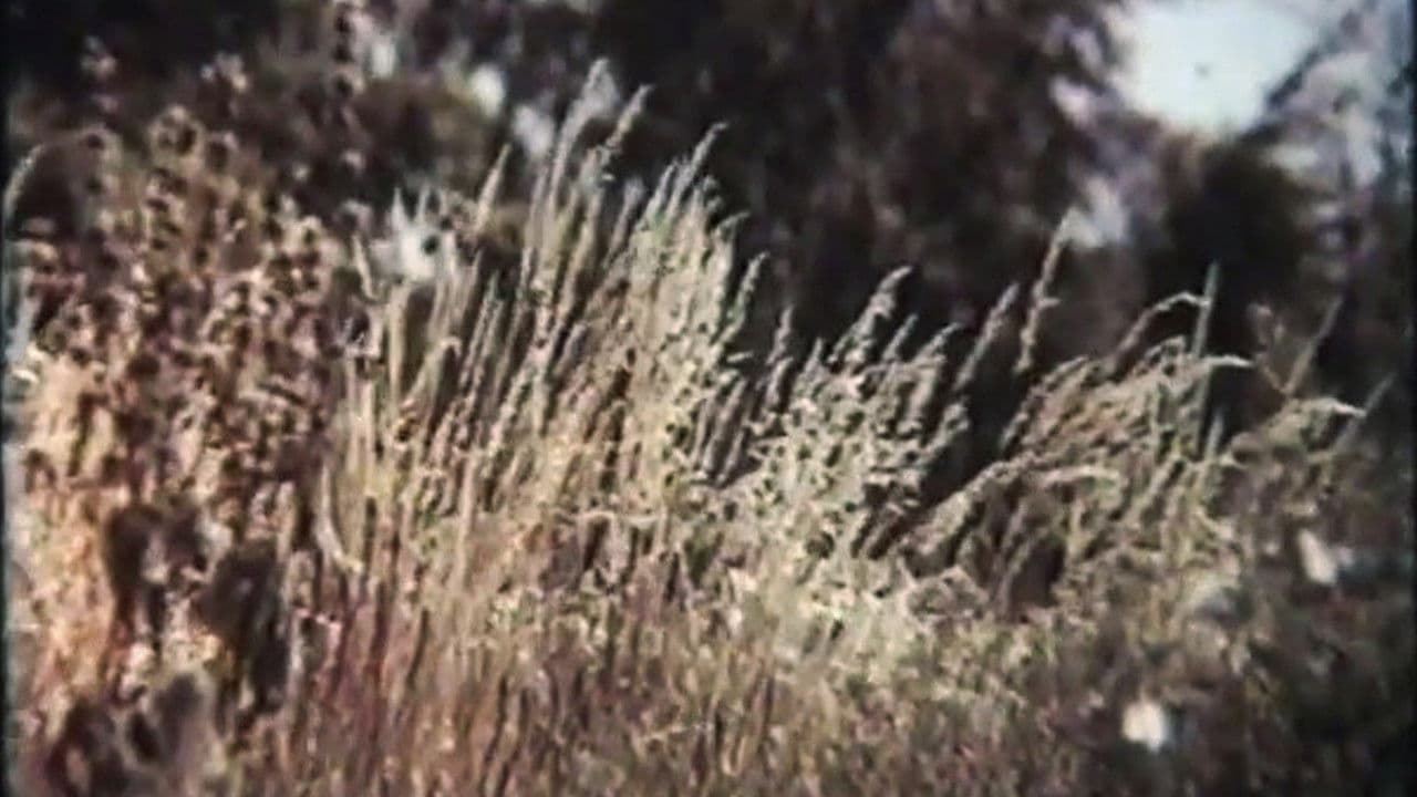 Mykhailo Sikorsky's Eushan Potion