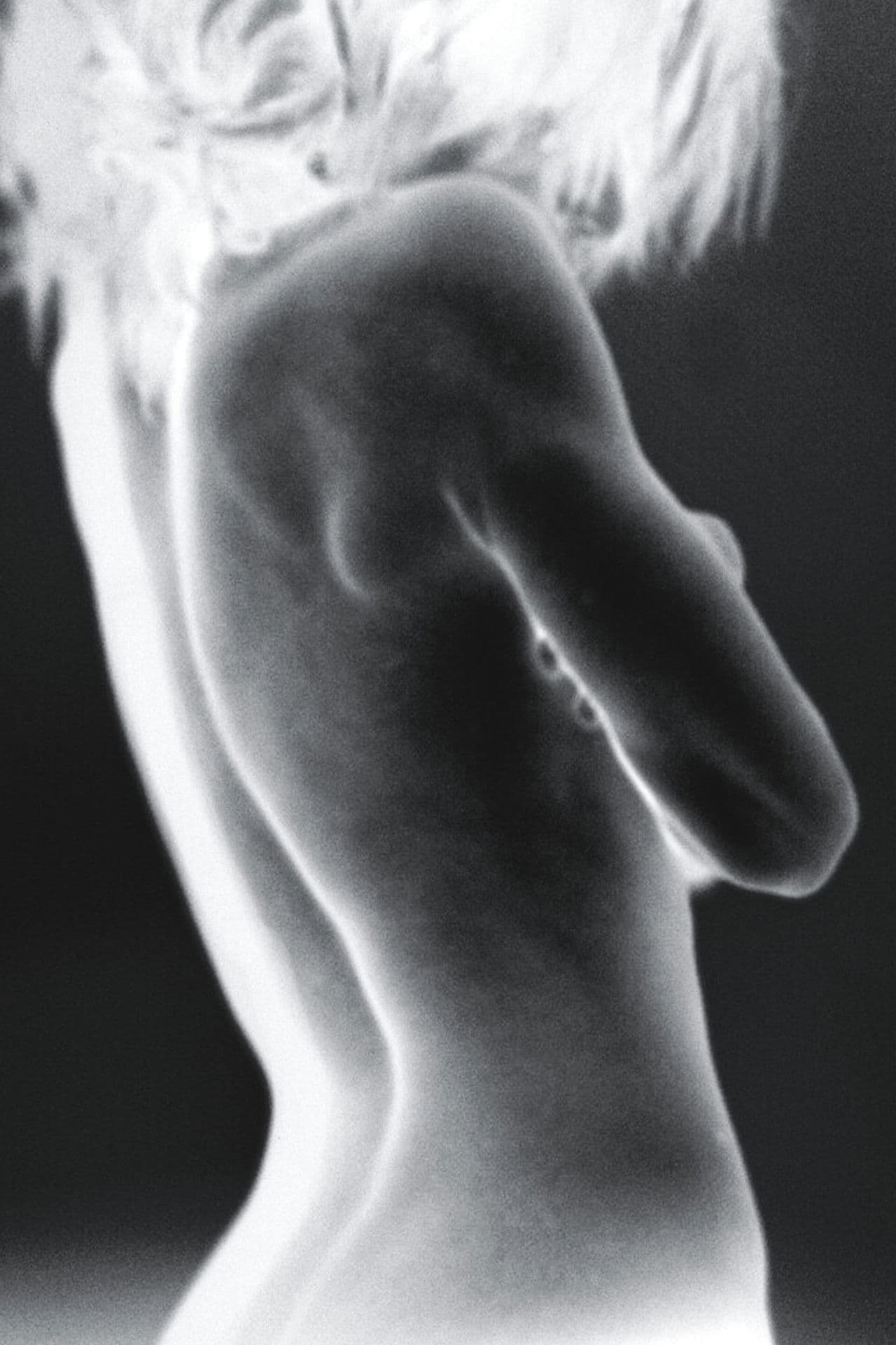 Thuỵ Huỳnh Thái