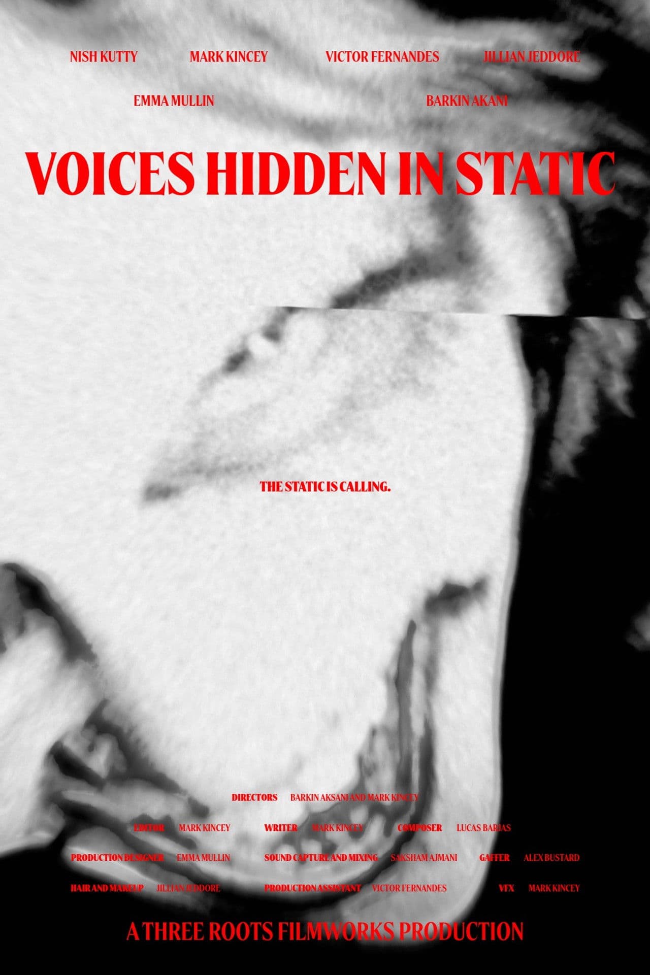 Voices Hidden in Static