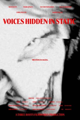 Voices Hidden in Static