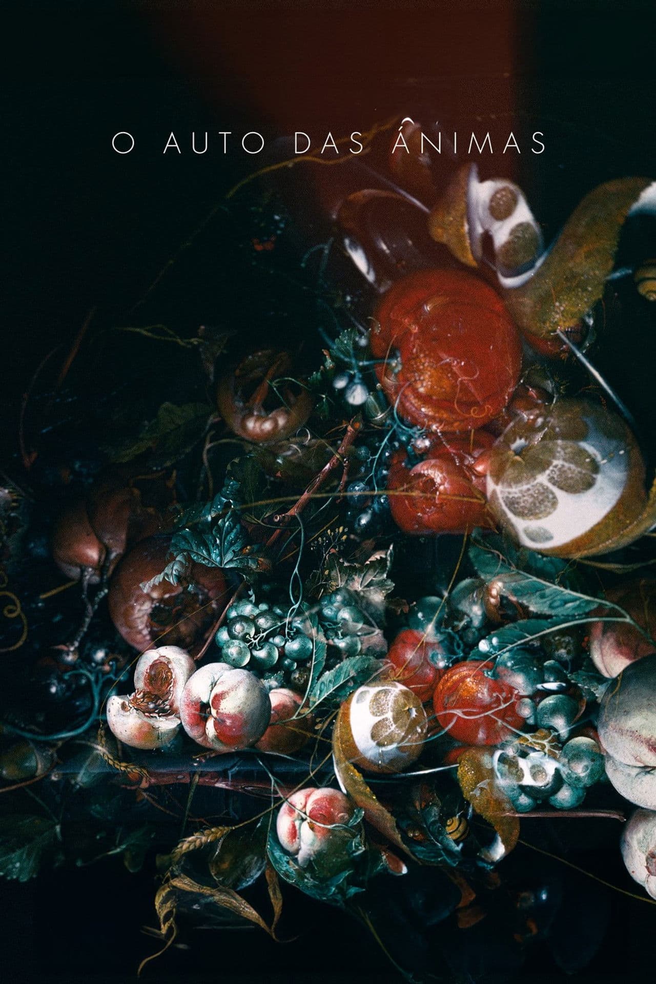 A House for Wandering Souls