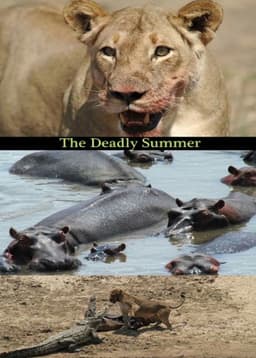 Deadly Summer