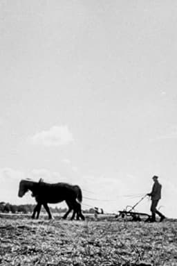 We Are Building New Villages