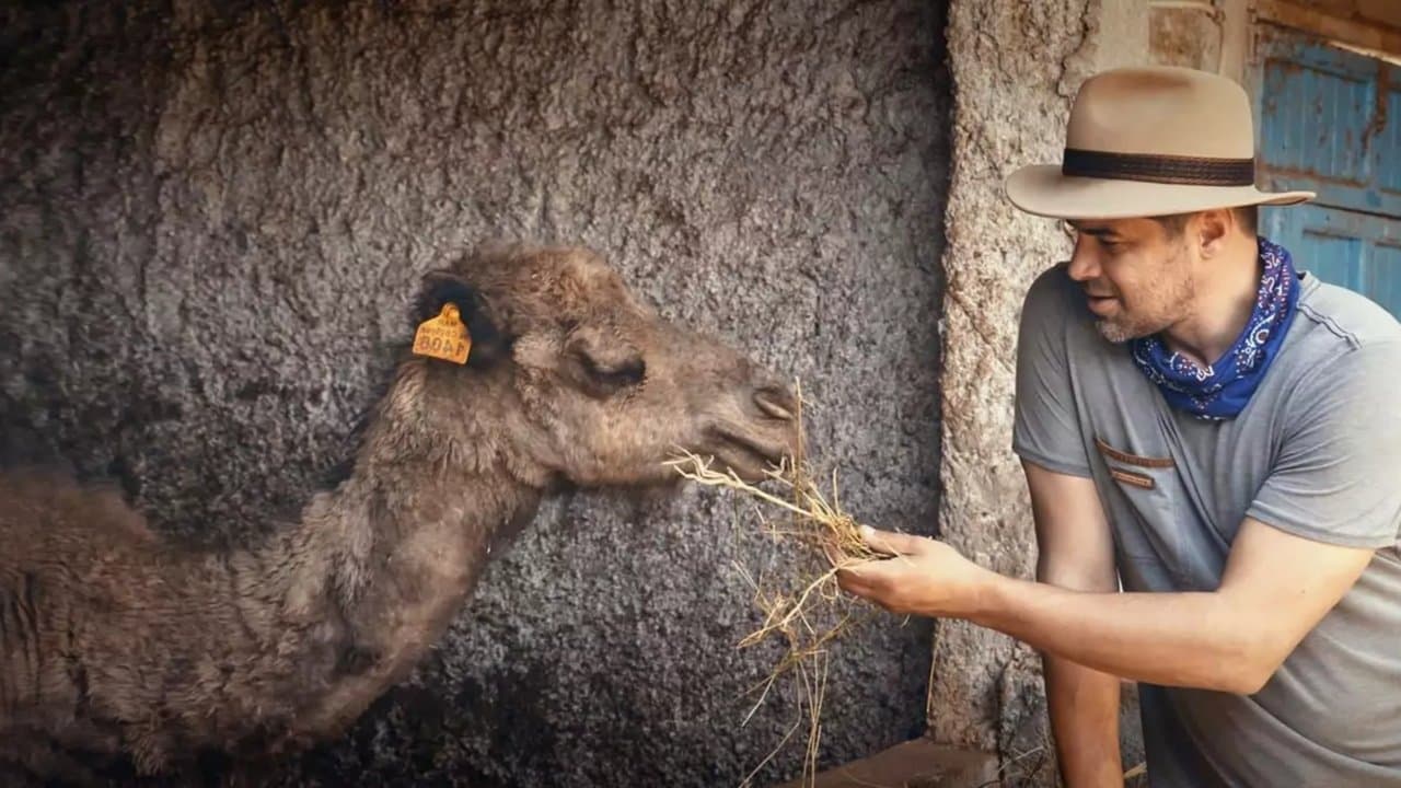 The New Family Member