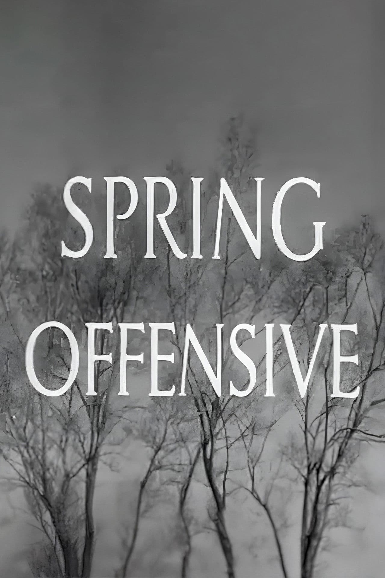Spring Offensive
