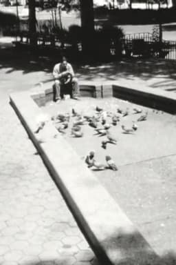 Angels Watching Over Me