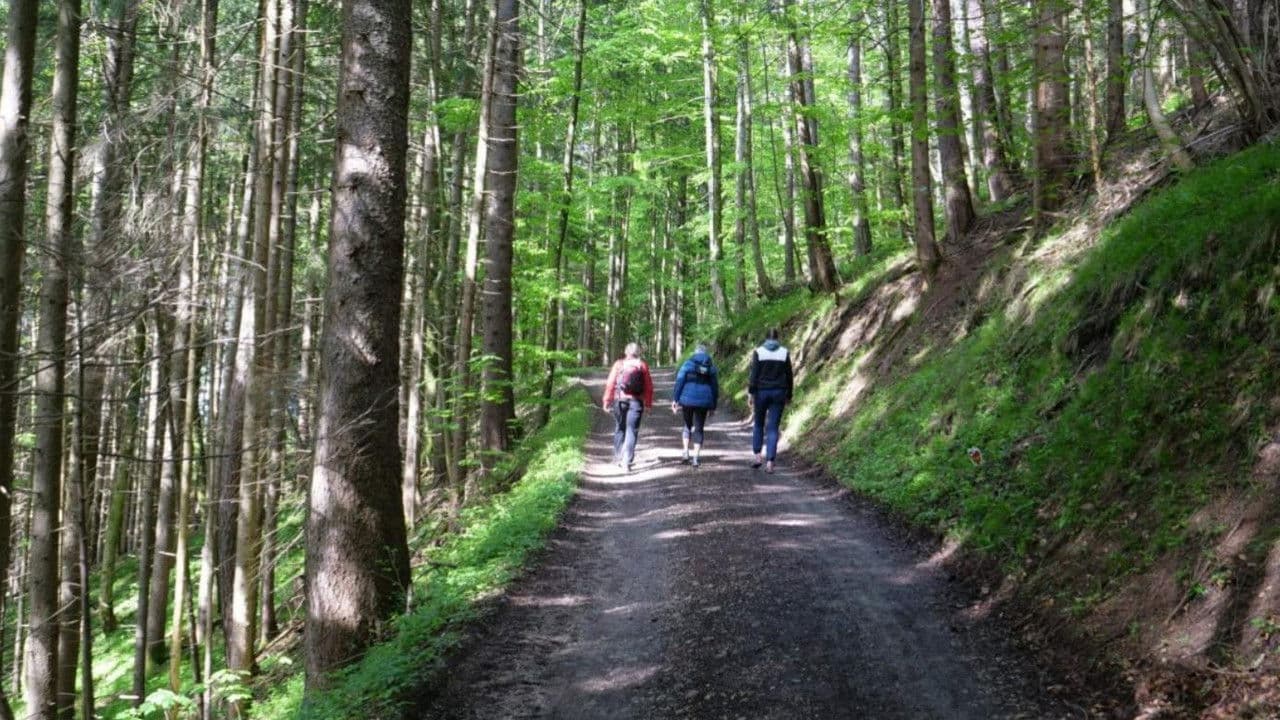 Walking: Miracle Cure for Body and Soul