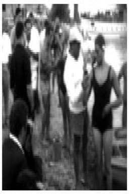 The Champions of the Water Spaces