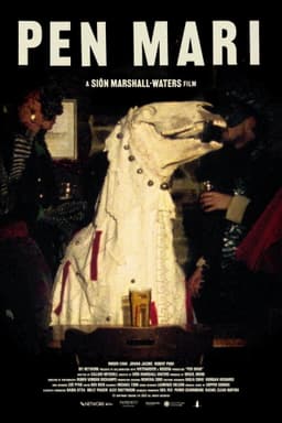 Pen Mari