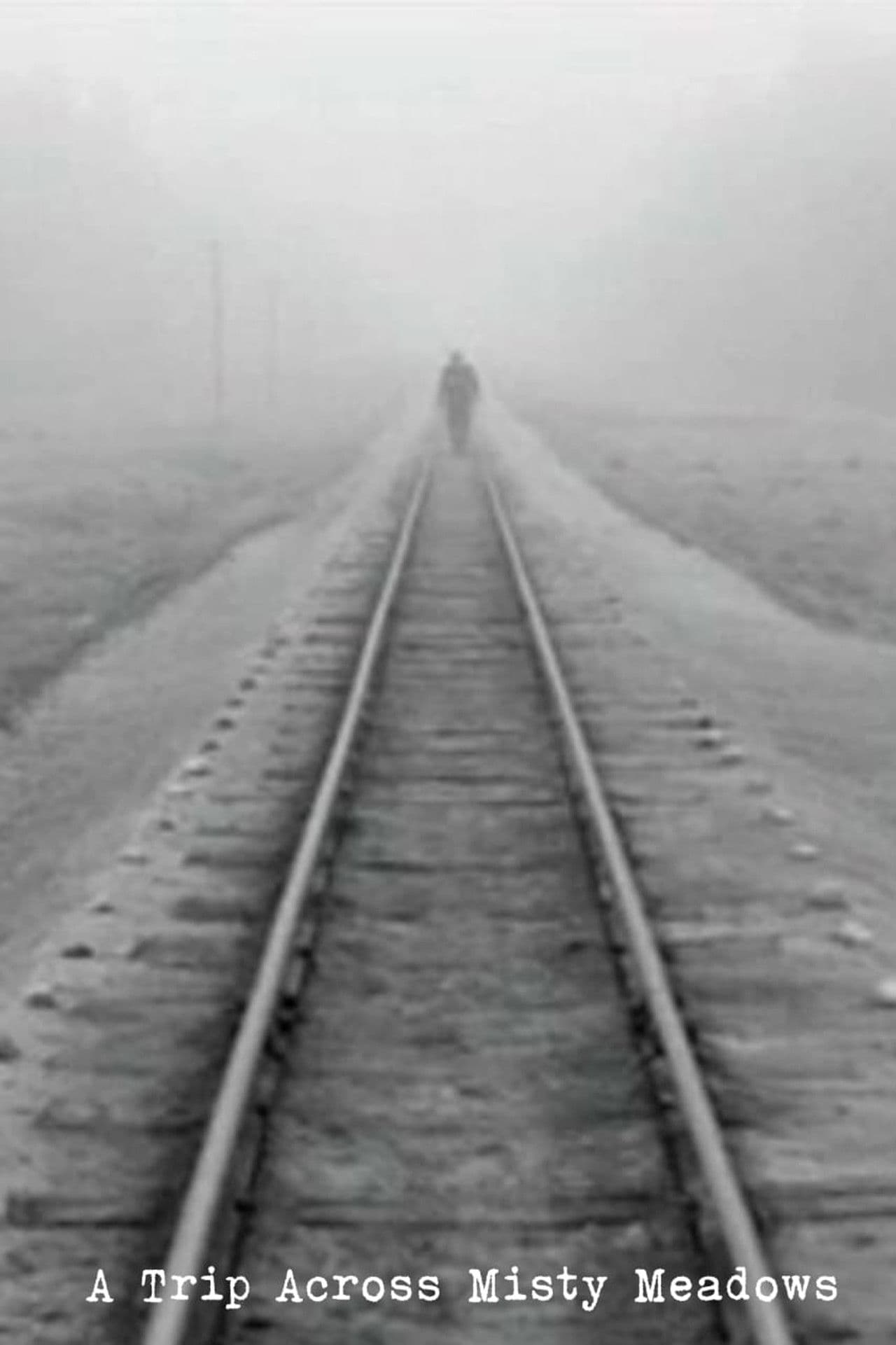 A Trip Across Misty Meadows