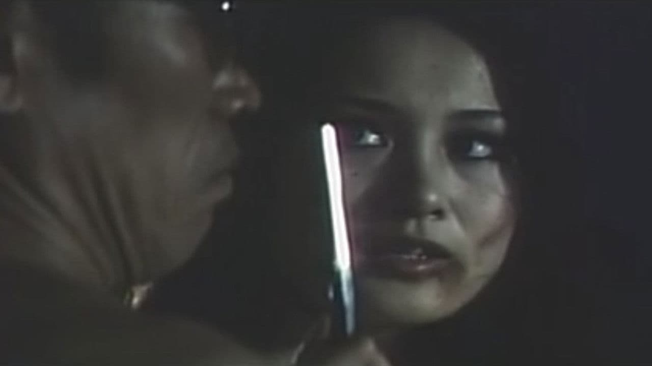 Sanctuary in the Night