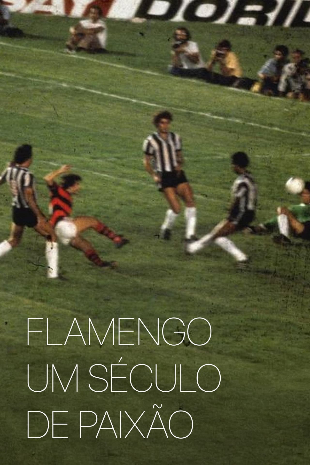 Flamengo: A Century of Passion