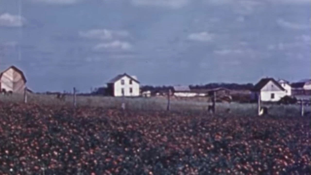 Saint Anne of Roquemaure: An Epilogue to New Countries