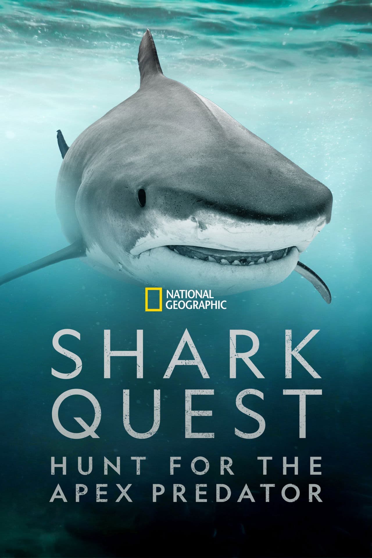 Shark Quest: Hunt For The Apex Predator