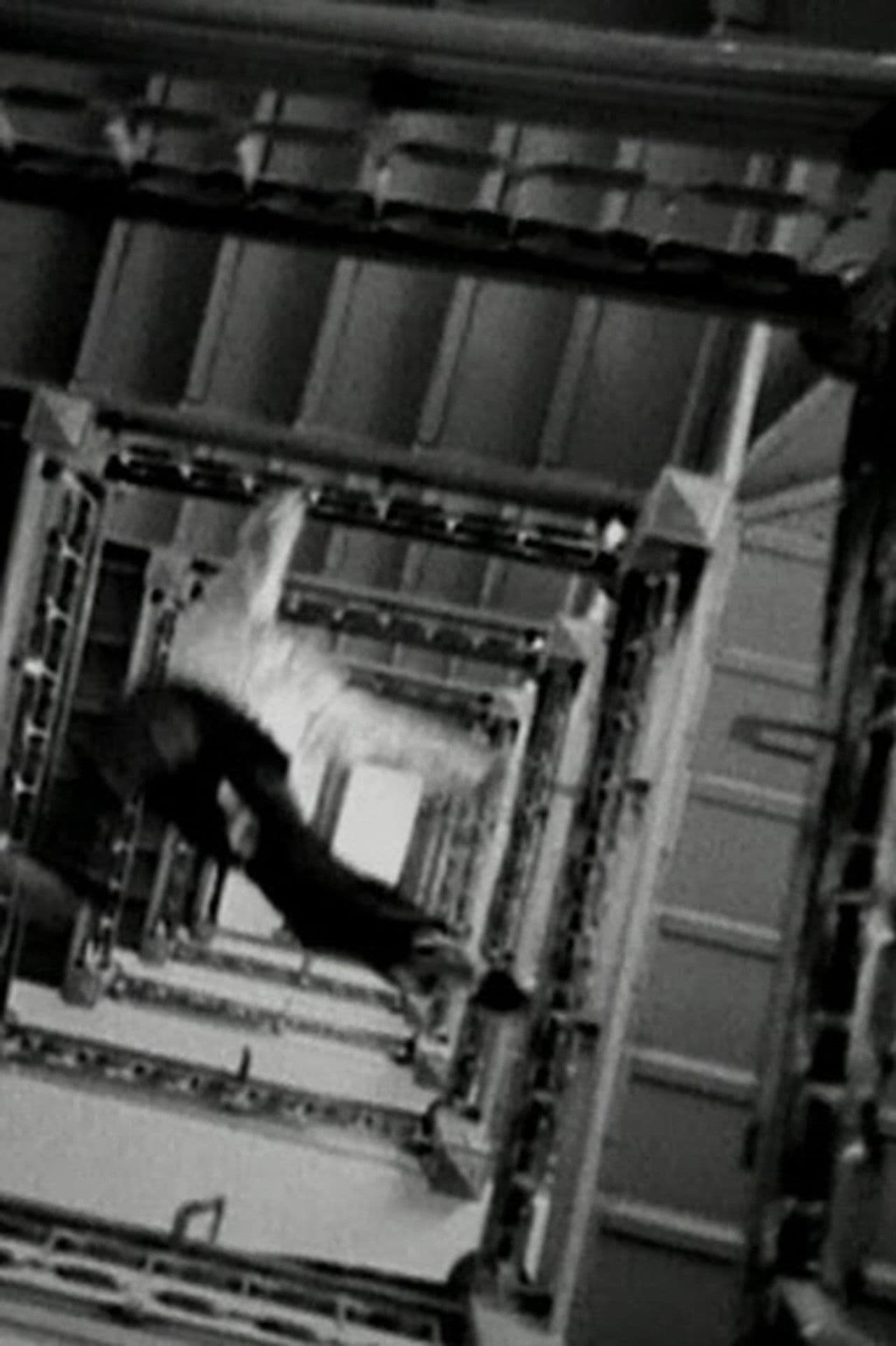 Seven Days 'Til Sunday