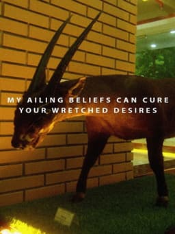 My Ailing Beliefs Can Cure Your Wretched Desires