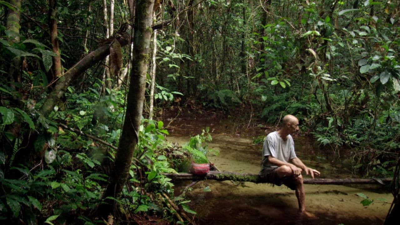 Song from the Forest