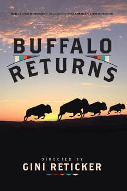 Buffalo Returns