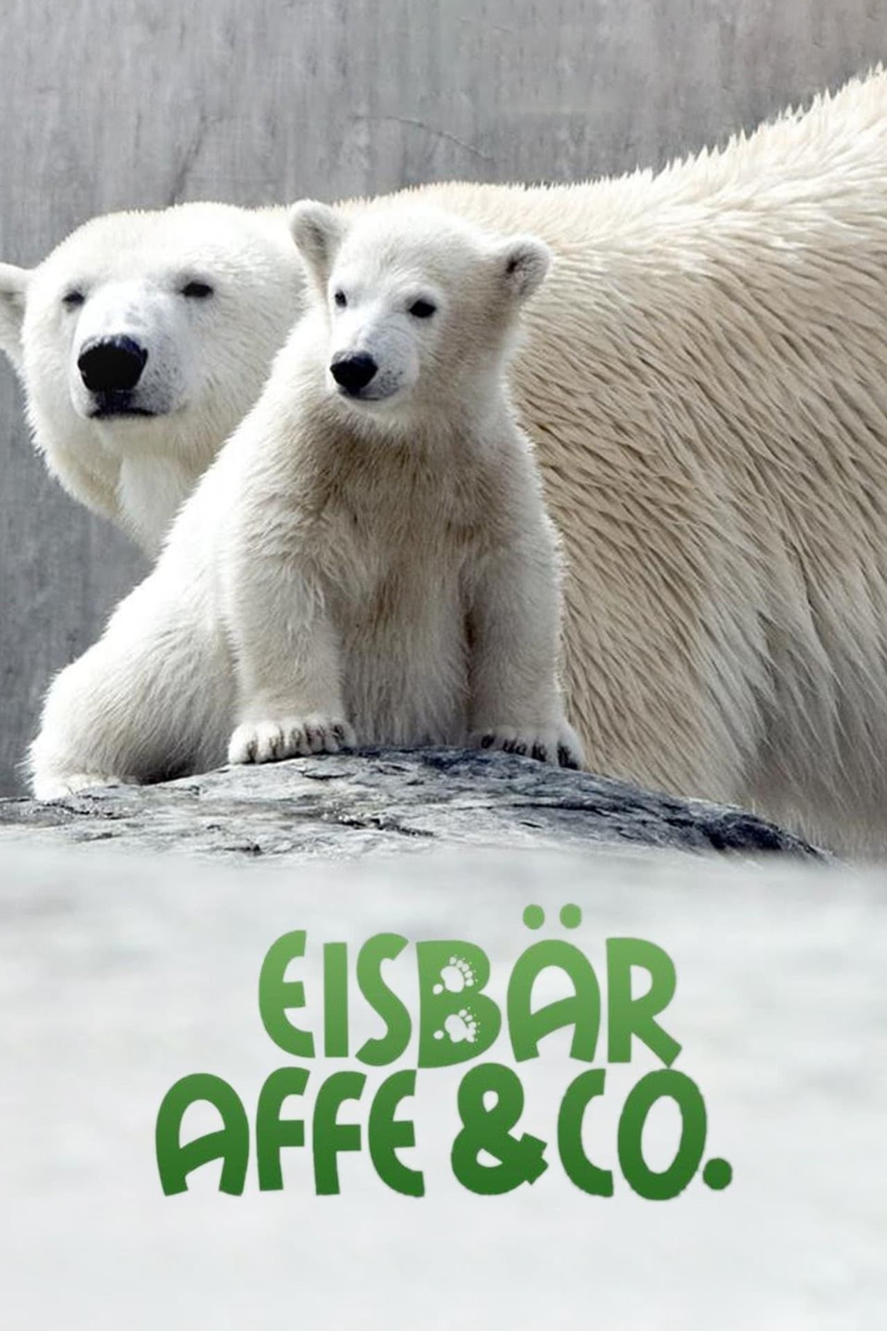Eisbär, Affe & Co.
