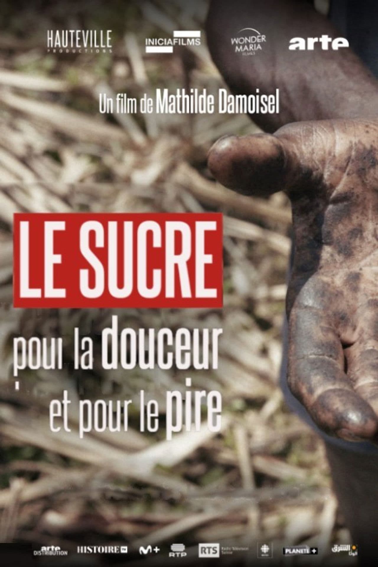 Le sucre, pour la douceur et pour le pire