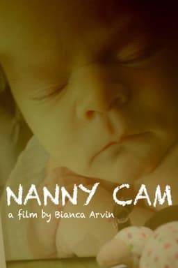 Nanny Cam